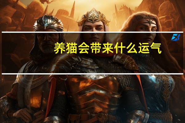 养猫会带来什么运气