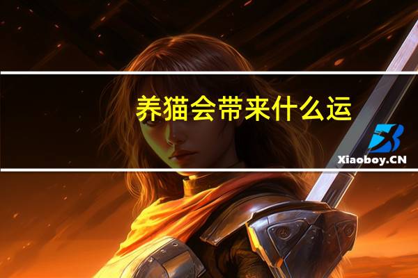 养猫会带来什么运