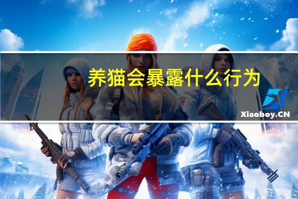 养猫会暴露什么行为