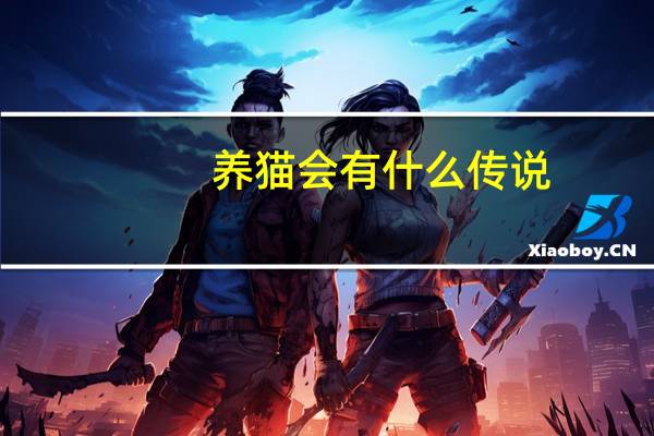 养猫会有什么传说