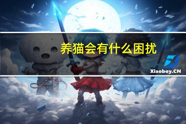 养猫会有什么困扰