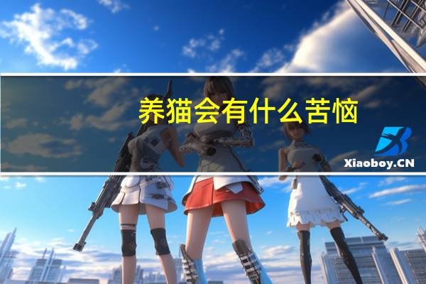 养猫会有什么苦恼