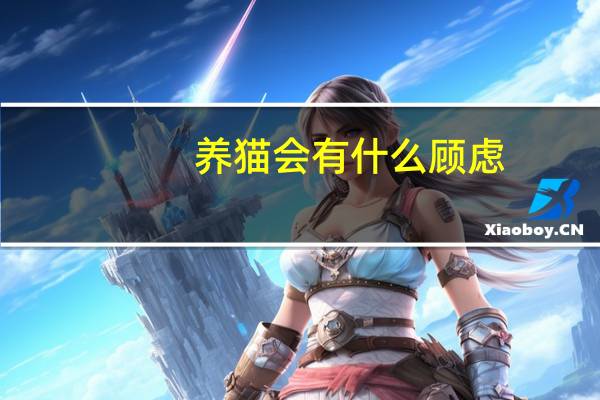 养猫会有什么顾虑