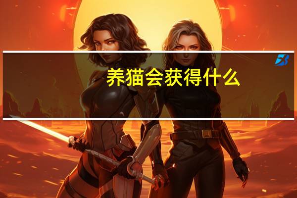 养猫会获得什么