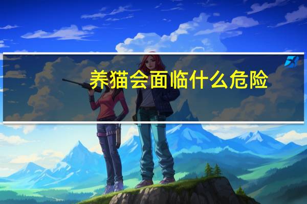 养猫会面临什么危险