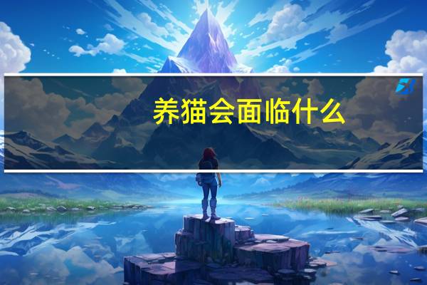 养猫会面临什么