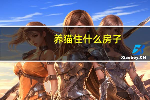养猫住什么房子