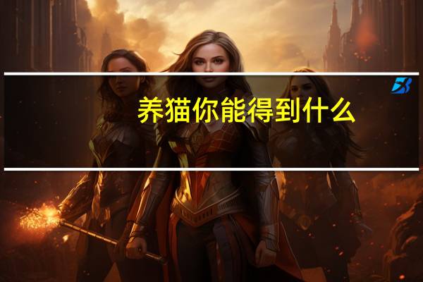 养猫你能得到什么