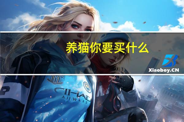 养猫你要买什么