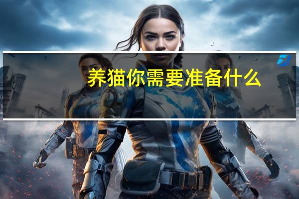 养猫你需要准备什么