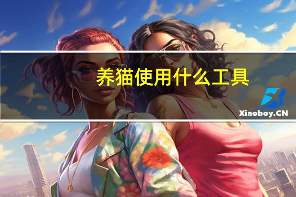 养猫使用什么工具