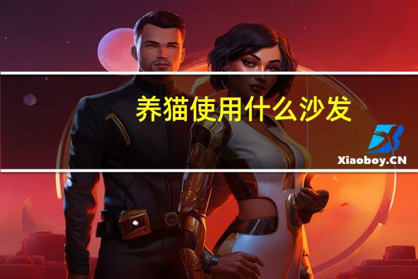 养猫使用什么沙发