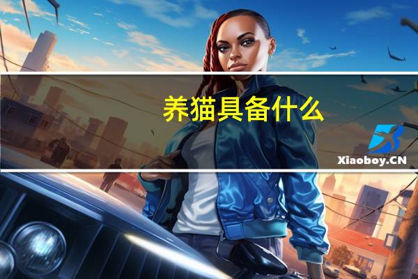 养猫具备什么