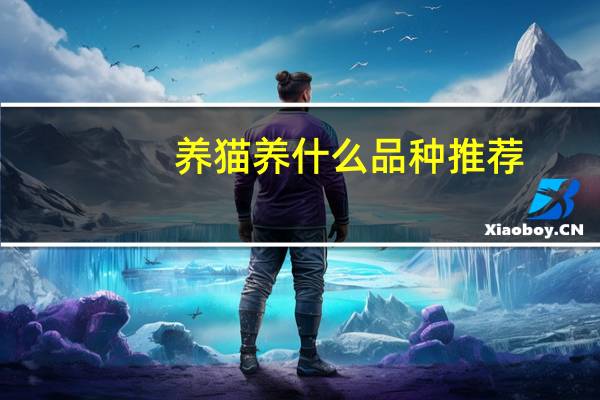 养猫养什么品种推荐