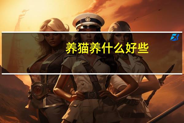 养猫养什么好些