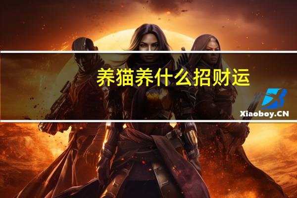 养猫养什么招财运