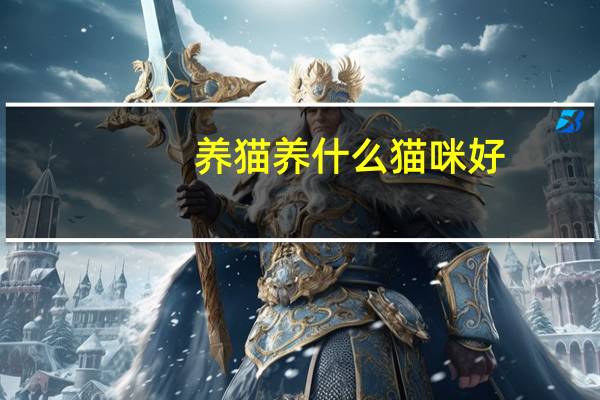 养猫养什么猫咪好