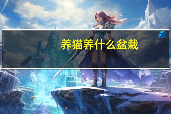 养猫养什么盆栽