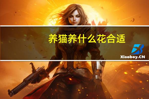 养猫养什么花合适
