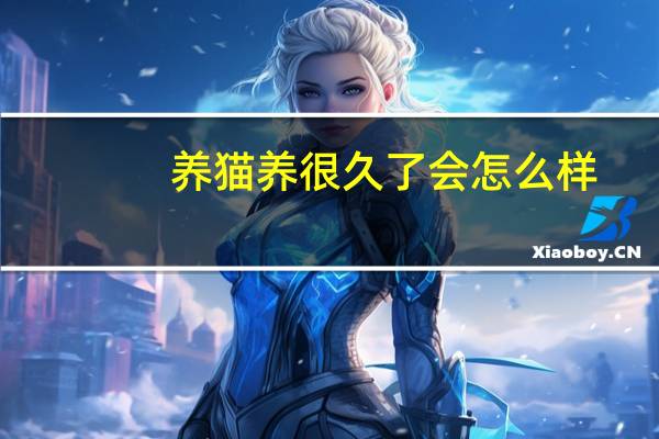 养猫养很久了会怎么样