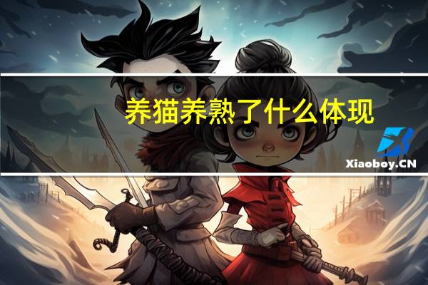 养猫养熟了什么体现