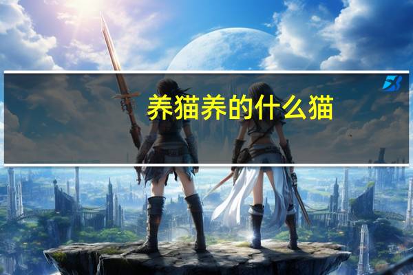养猫养的什么猫