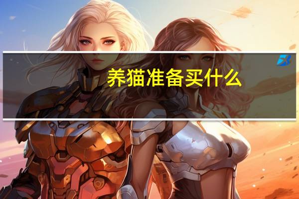 养猫准备买什么