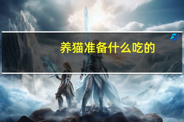 养猫准备什么吃的