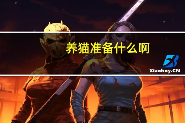 养猫准备什么啊