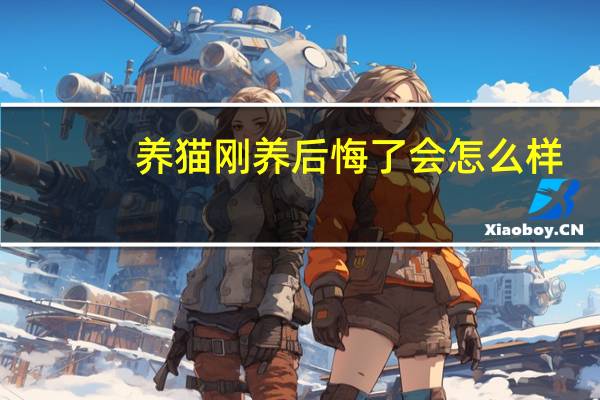 养猫刚养后悔了会怎么样