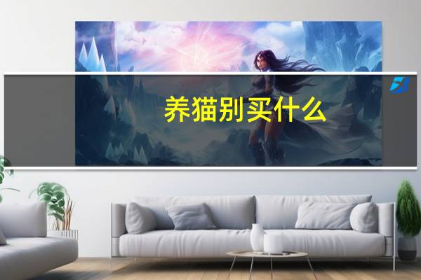 养猫别买什么