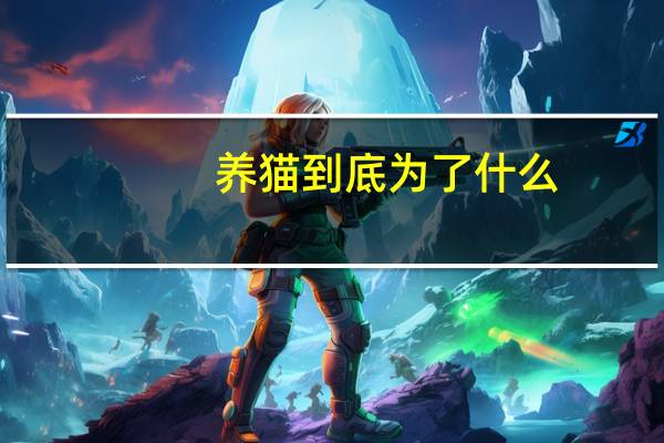 养猫到底为了什么