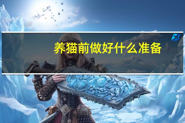 养猫前做好什么准备
