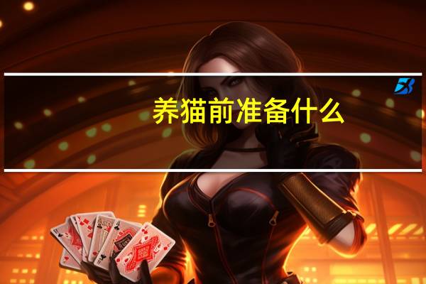 养猫前准备什么