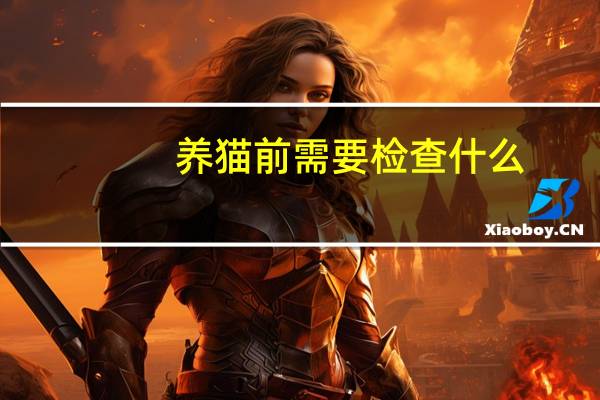 养猫前需要检查什么