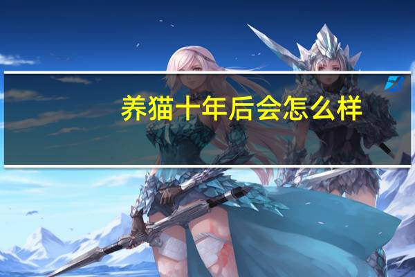 养猫十年后会怎么样