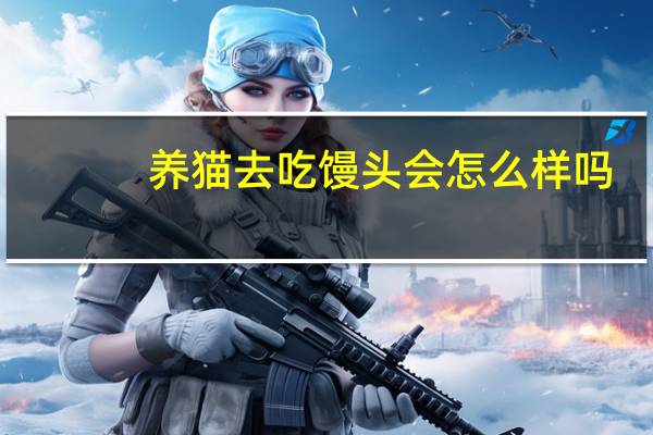 养猫去吃馒头会怎么样吗