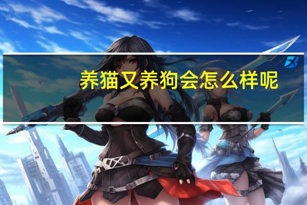 养猫又养狗会怎么样呢