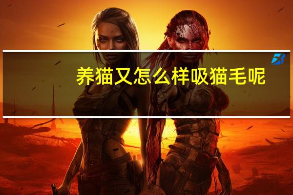 养猫又怎么样吸猫毛呢