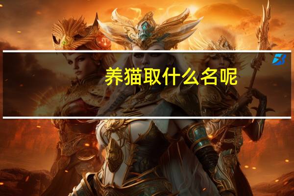 养猫取什么名呢