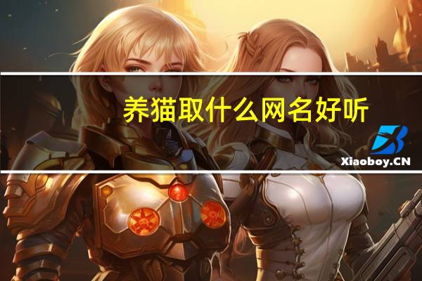 养猫取什么网名好听