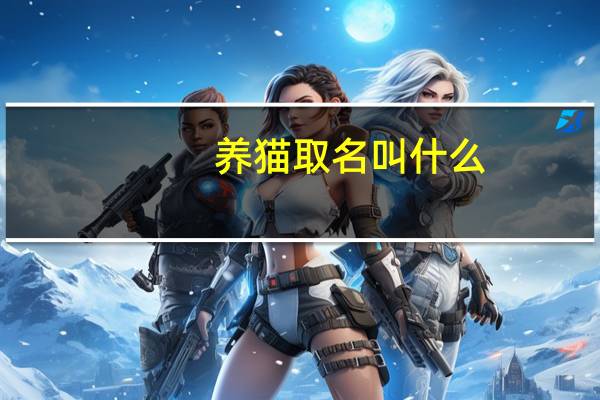 养猫取名叫什么