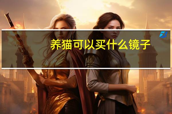 养猫可以买什么镜子