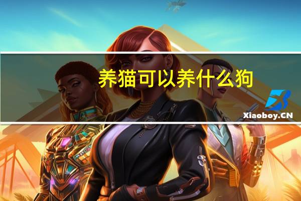 养猫可以养什么狗