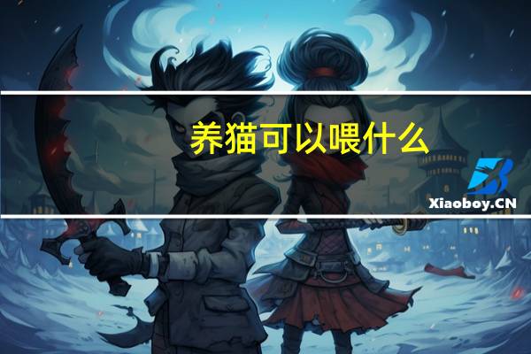 养猫可以喂什么