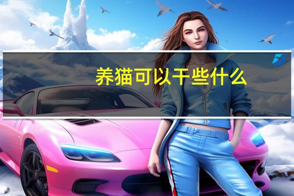 养猫可以干些什么