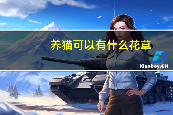 养猫可以有什么花草