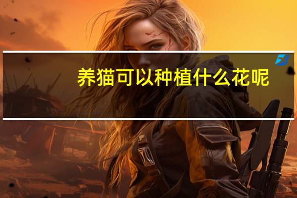 养猫可以种植什么花呢