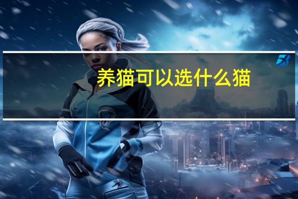 养猫可以选什么猫