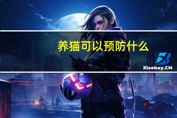 养猫可以预防什么